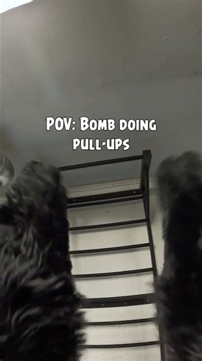 POV: Bomb does pull-ups