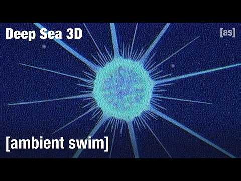 Deep Sea 3D | Ambient Swim