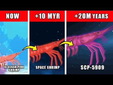 SCP-5909 Origin Evolution: How SCP-5909 (The Endless Shrimp) Could Have Evolved