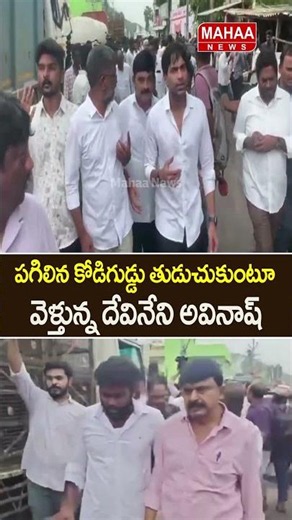 పగిలిన కోడిగుడ్డు తుడుచుకుంటూ వెళ్తున్న దేవినేని అవినాష్..Perni Nani | Ambati Rambabu | Mahaa News