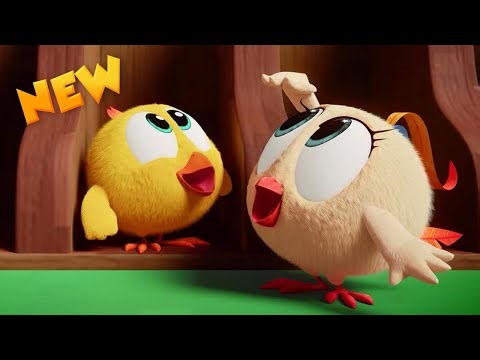 NEW Climb up, Chicky! | Where's Chicky? | Cartoon Collection in English for Kids | New episodes