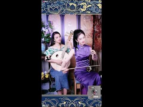 🎻 Soulful Erhu Live – The Most Emotional Chinese Violin You've Never Heard(No advertisement) #二胡