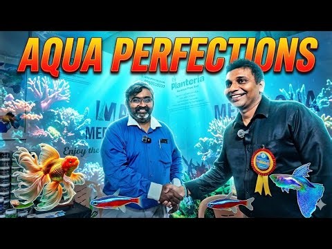 AQUA PERFECTIONS | FISH FOOD | KING DISCUS @ ICAR-CIFE EXHIBITION | AQUARIUM FISH FOOD