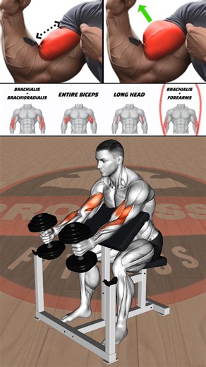 Train Your Biceps with Constant Tension to Build Better Shape, Pump and Muscle Detail #bicepsworkout #bicepstraining #bicepspump #buildbiceps #biggerarms #armworkout | Junior B Divenson Jean