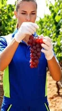 Inside the Winery: The Complete, Mesmerizing Process of Grape to Fine Wine