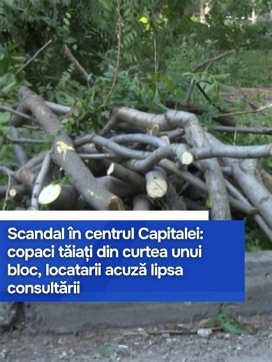 Locatarii unui bloc din centrul Chișinăului acuză „Spații Verzi” și administratorul clădirii după ce mai mulți arbori au fost tăiați din curte. Oamenii spun că aceștia erau sănătoși și că nu au fost consultați, în timp ce autoritățile și executanții lucrărilor susțin că intervenția a fost autorizată și necesară din motive de siguranță.