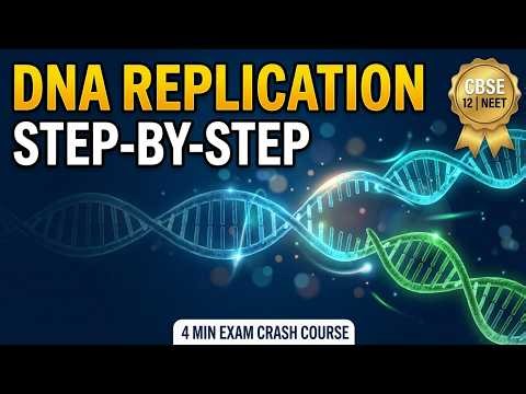 DNA Replication in 3 Minutes | Class 12 Biology #Biosparkbiologymadeeasy