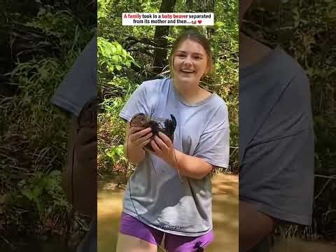 Animals Ask Humans For Help… And This Happens