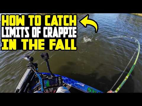 HOW TO LOCATE & CATCH LIMITS OF FALL CRAPPIE!! CRAPPIE FISHING 2026!!