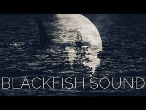 Blackfish Sound: Bald Eagle rescue and Fishing for Lingcod