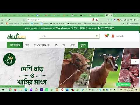 Web Design (Bootstrap Intro Class)