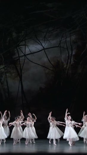 Giselle – Dance of the Wilis #TheRoyalBallet #Giselle #DanceOfTheWilis #Ballet #RoyalBalletAndOpera