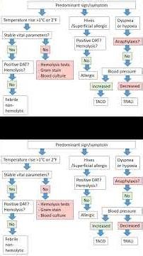 Acute Transfusion Reaction Algorithm TRALI, TACO USMLE Step 1 Step 2 CK Medical Review and Pathology