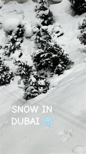 Experience Snow in Dubai at Ski Dubai