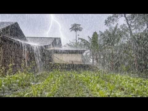 🔴LIVE 🌩️ Realistic Village Rainstorm | Nature Sounds for Sleep