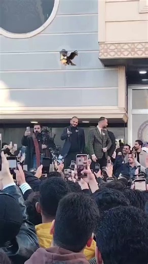 Engaging Mathematics Lessons with Professor Haider Waleed