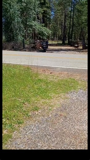 This guy lives way out in the middle of nowhere. About an hour ago police came speeding down the road — one officer on a motorcycle pulled over, jumped into another car with the others, and they took off.But they left the entire police motorcycle sitting there completely unattended… with what he describes as a police-issue AR rifle still strapped to it, a baton, and even a Yeti cup just sitting out in the open.And the wildest part is that this is exactly where his kids get off the school bus — o