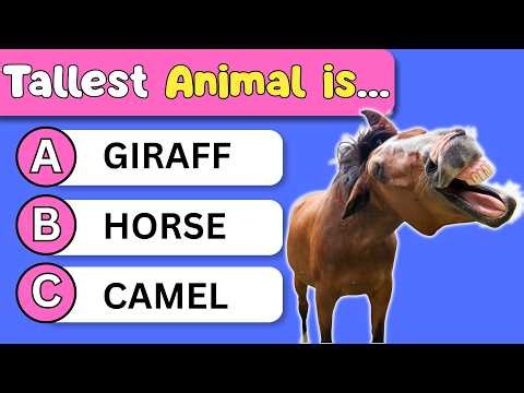Can You Pass This General Knowledge Quiz? 👦🧠 50 Questions Everyone Should Know! 🙂 | Brain Battle
