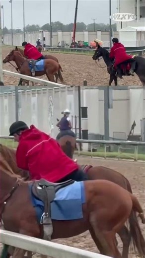 Horse gets loose during workouts at Churchill Downs