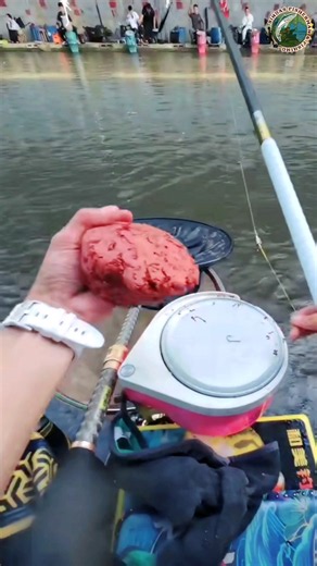 Two Fish at Once | 😱🎣 Double Catch Fishing Surprise! #shorts #fishing #hookfishing