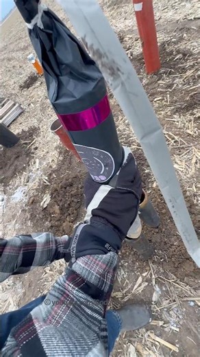 6 Break Firework Shell W LOW Bottom Shot! #Fireworks #Firework #Pyro #Shorts