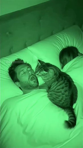 Cat Puts Paw in Sleeping Man's Mouth | Hilarious Night Vision Caught on Camera