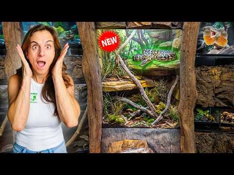 We Added Australia’s Most Beautiful Snake to Our Zoo!!