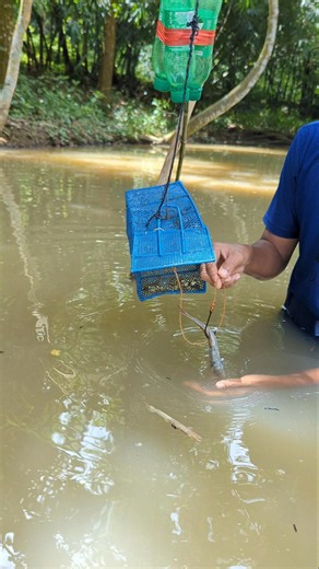 Amazing trapping fishing system, with rat cage#fish_traps#fish