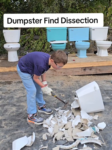Dumpster Find Dissection: What We Found and Why It Matters