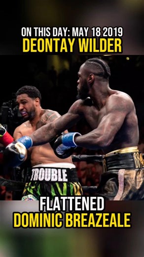 #Onthisday Deontay Wilder Flattened Dominic Breazeale With a Devastating One-Punch KO 🥊💥