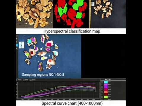 Acquisition of Hyperspectral Data of Walnuts