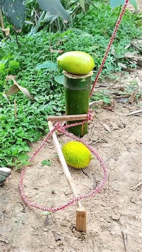 Creative ideas for assembling traps from bamboo easily and simply #survival