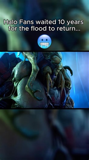 Halo flood return was brutal