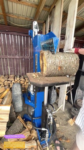 Hydraulic Power Meets Woodland Craft: How a Blue Machine Turns Logs Into Firewood Faster Than Ever