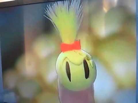 ニャッキ!ビデオDVD