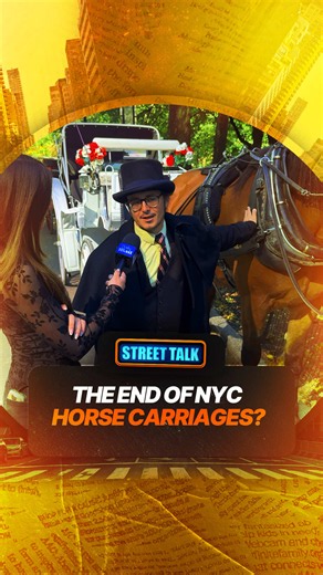 Could this be the end of NYC’s iconic horse-drawn carriages? 🐎 Following years of animal welfare concerns and recent fatal accidents, the City Council is set to vote October 22 on a bill that would end the 150-year-old tradition by June 2028. The proposal also includes a transition plan for carriage workers. Should the carriages stay or go? #horses #animals #nyc