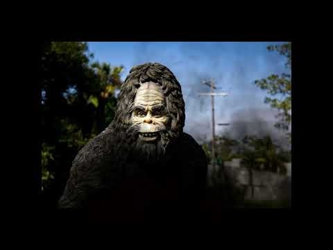 Cryptid Informational Compilation