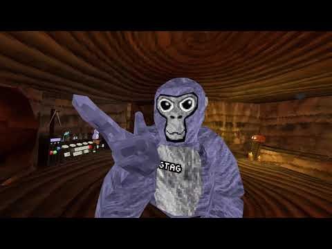 Gorilla tag Tutorial! | Rookie edition