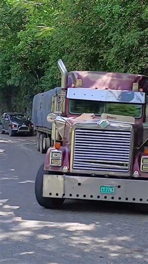Veteran trucker in action #automobile
