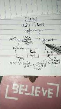 Kreb Cycle #Citric acid cycle