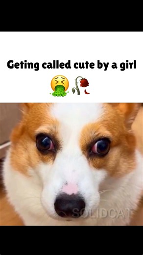 Cute vs Hacker 🤫✨