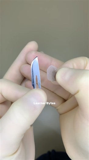 How Did Ancient Humans Make Blades This Sharp Without Steel?