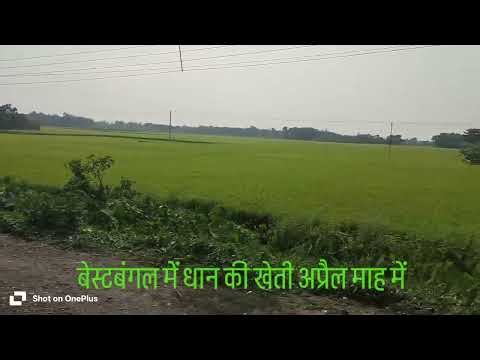 agriculture, #agriculture, japan agriculture, agriculture world, modern agriculture, future