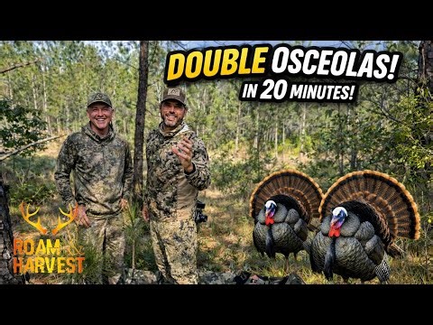 DOUBLE OSCEOLA TURKEYS in 20 MINUTES | Florida Spring Turkey Hunt