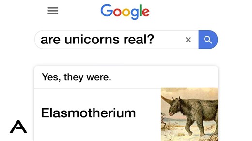 Answering Google's most asked questions of 2023