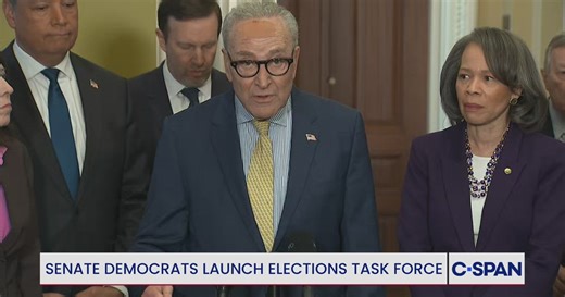 Senate Democrats Launch Elections Task Force