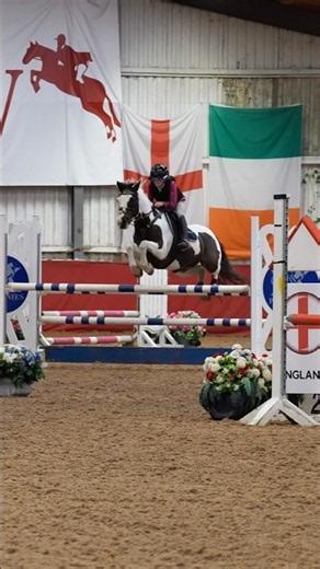 Arlo jumped incredible at English Home Pony🏴󠁧󠁢󠁥󠁮󠁧󠁿. #horse #showjumping #horseriding #pony