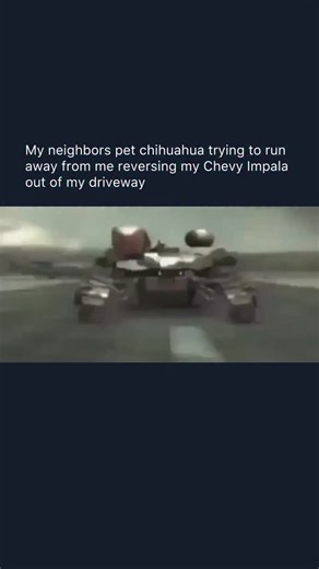 RASCALS on Instagram: "Step 1: you put the car in reverse thinking it’s just another normal morning Step 2: hear tiny paws scrambling like a scene from a disaster movie Step 3: look in the mirror and see pure survival instincts activated Step 4: the chihuahua hits speeds science can’t explain Step 5: you sit there wondering how something that small unlocked fight-or-flight #Bruh #Lmao #Rascals"