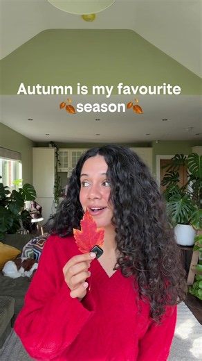 Belfast Autumn Day Itinerary: Best Pumpkin Pie, Walks & Cozy Pubs