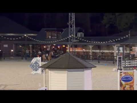 DHT 07-05-2026: Ocean Breeze, mare, 2019 by Harley VDL